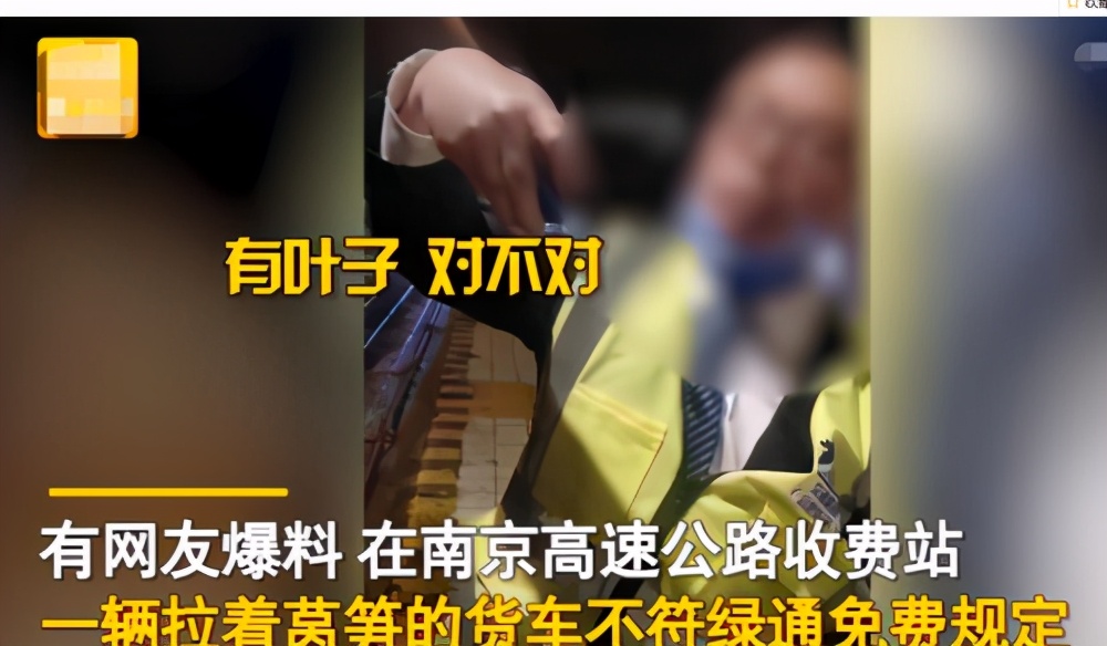 蔬菜怎么拉才算“绿通货物”？网友：下次连地也一块拉上