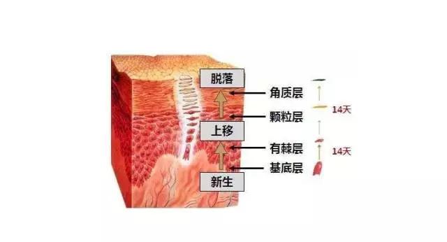 1分钟科普小知识,1分钟小知识