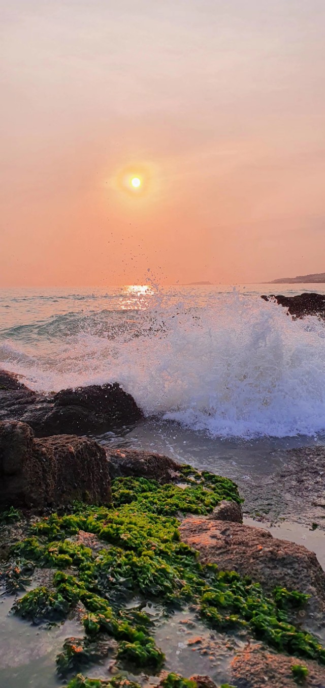 大学毕业异地恋工作怎么办,大学毕业异地恋分手概率