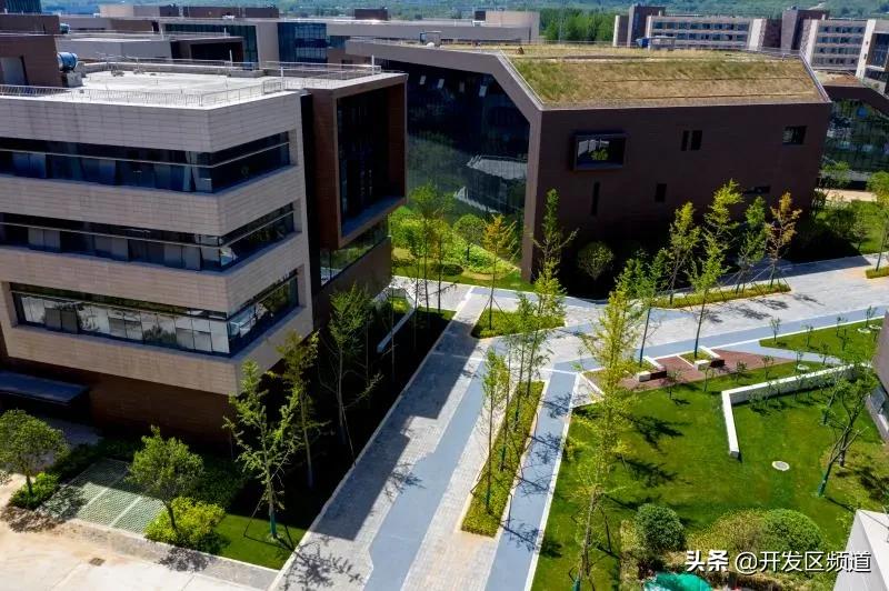 西安生物医药：你被谁抛弃了？