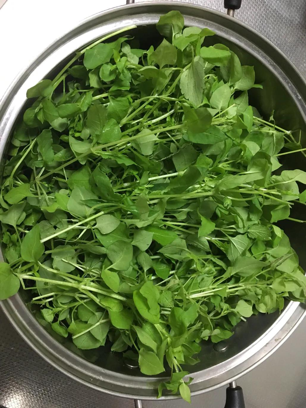 用白醋自制酸菜最简单的方法,白醋腌酸菜的危害