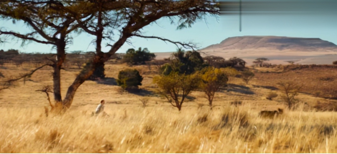 去非洲草原，要怎么做，才能不被狮子吃掉？