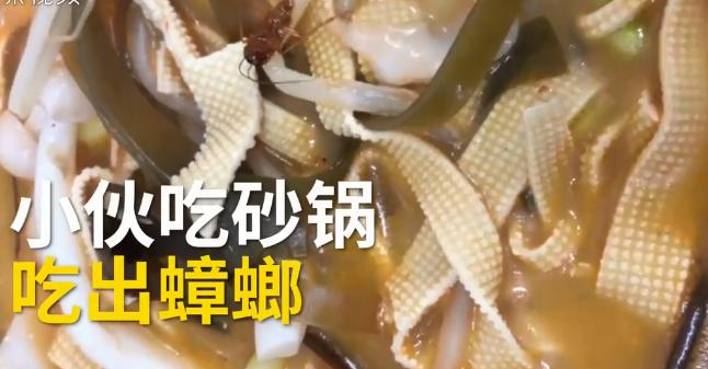 “好歹把碗换一下吧！”砂锅吃出蟑螂，重做后竟端出同一个碗