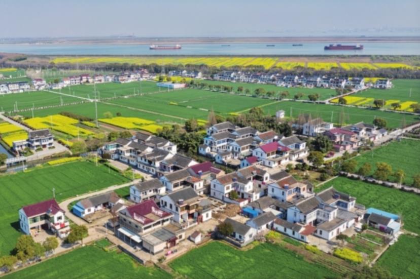 江苏真实的农村面貌，楼房普遍是二三层高，江苏农村没浙江富裕？