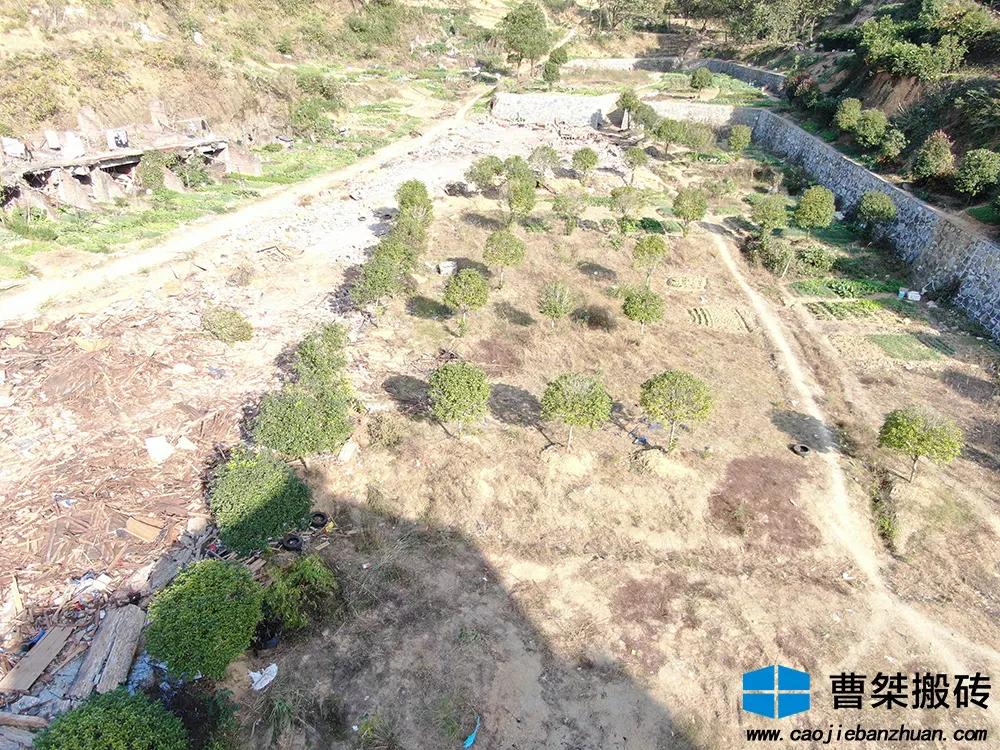 郴州土拍2020063地块拍卖,41家房企争抢一宗限价地