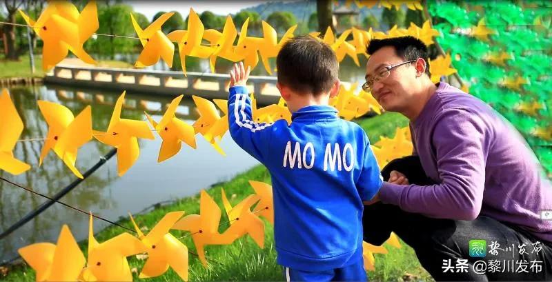 聚龙山赏花,聚龙湖畔好风景