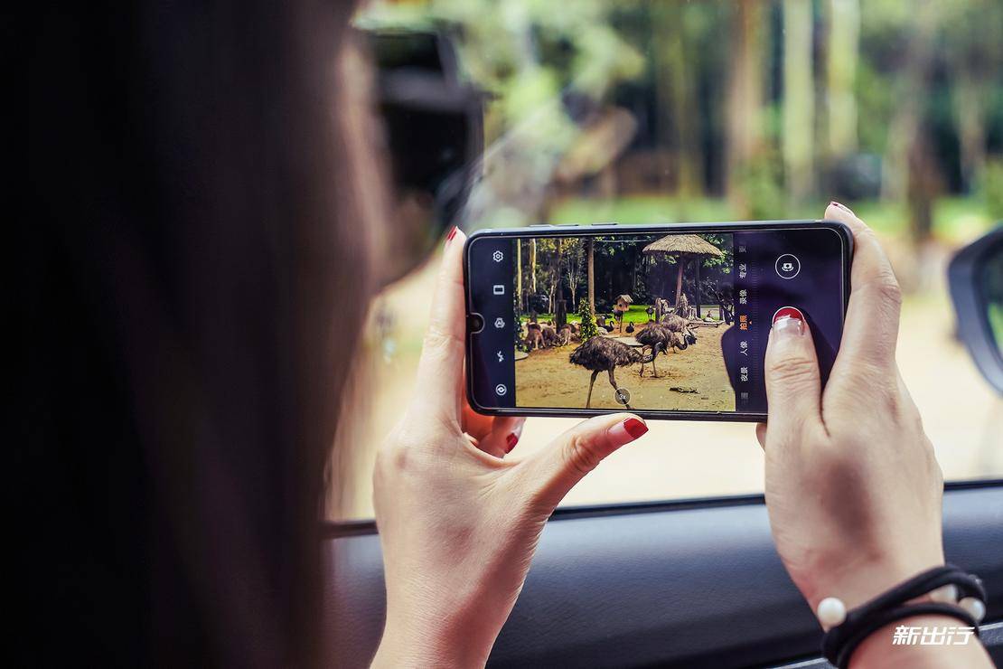 打卡长隆动物园记田妈和威马EX5520的周末