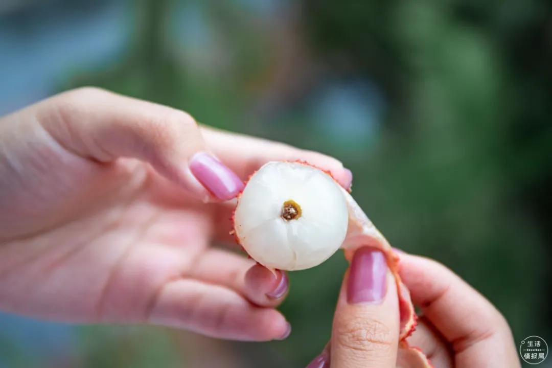 手机买菜平台有哪些,深圳人在哪个app上买菜