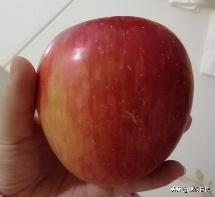 7个月宝宝吃苹果泥做法,山药苹果泥多大宝宝能吃