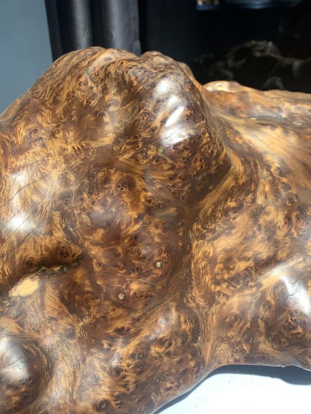 川料崖柏产地,崖柏和刺柏有什么区别