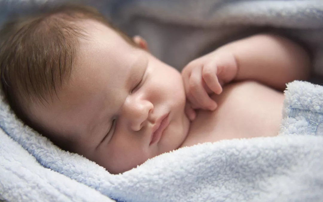 鹿城金茂府丨绿色人居科技宅，锻造超级IP影响力