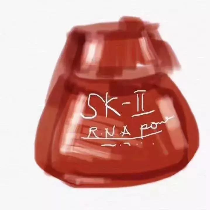 承包了大家一年的笑点,各显神通直播带货