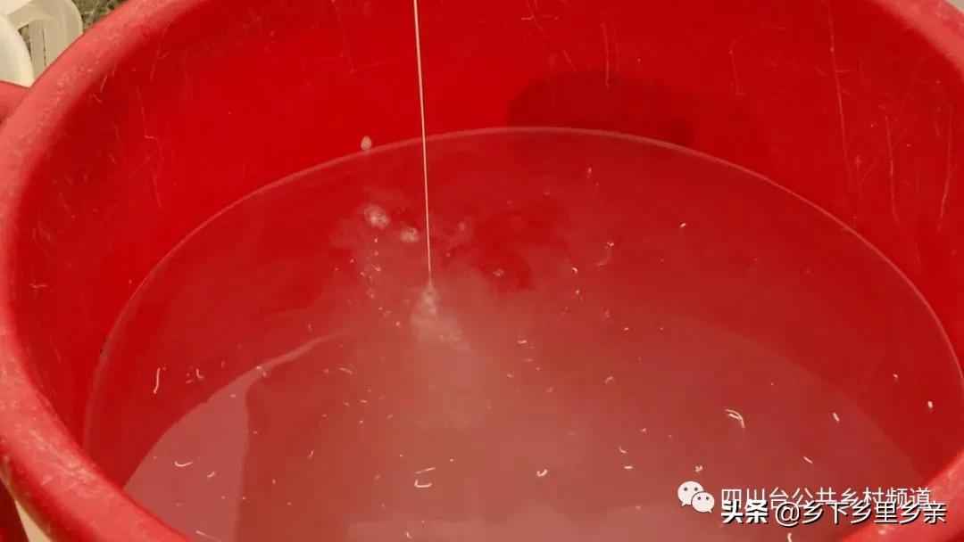 油菜得了病用什么药,油菜生病了怎么防治