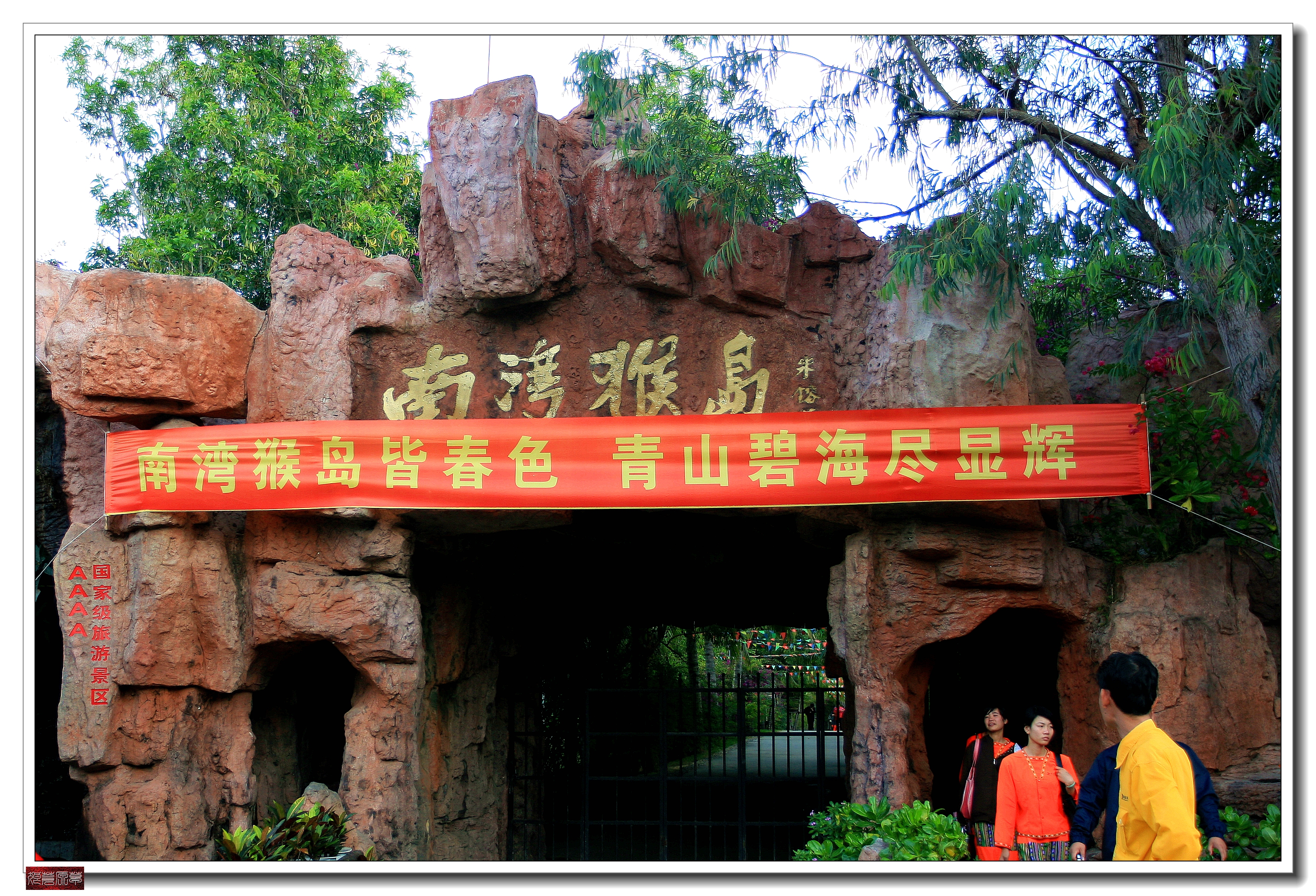 南湾猴岛猕猴王国,猕猴乐园南湾猴岛