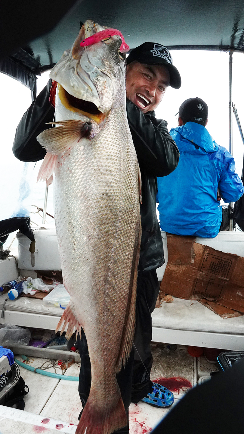 蓝旗鱼怪物路亚,实战派蓝旗鱼路亚