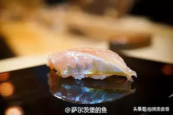 32种经典寿司做法视频,寿司常用的鱼