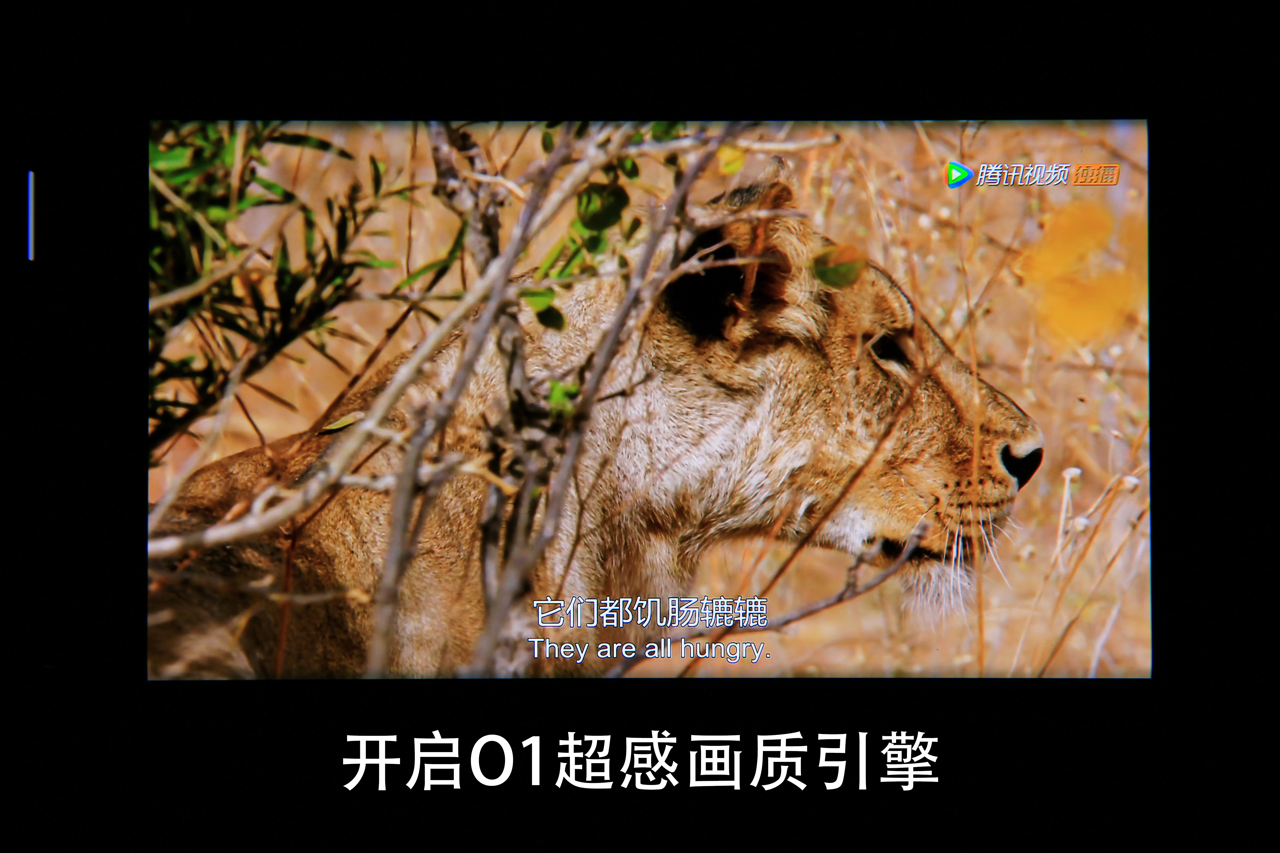 超感体验oppofindx2pro开箱随谈,oppofindx2pro深度评测视频