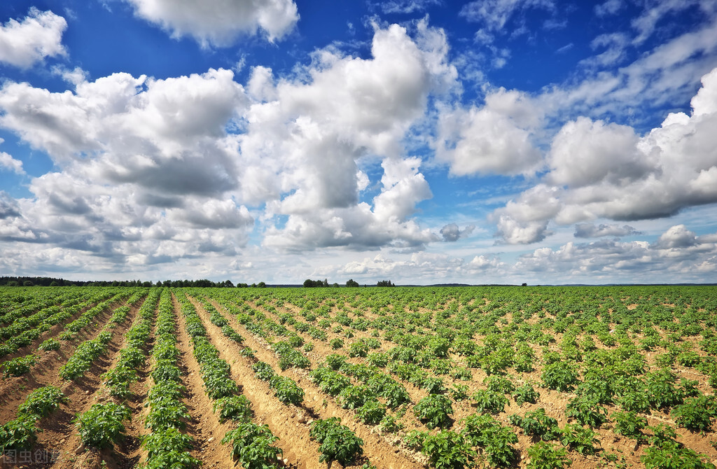 六安市项目申报,六安最新引进的大项目