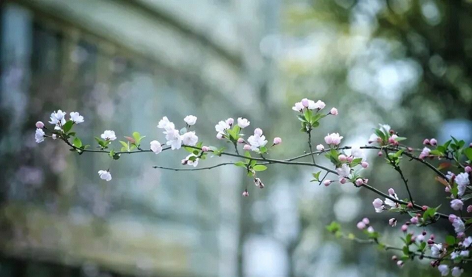 6篇满分作文,满分作文被打零分