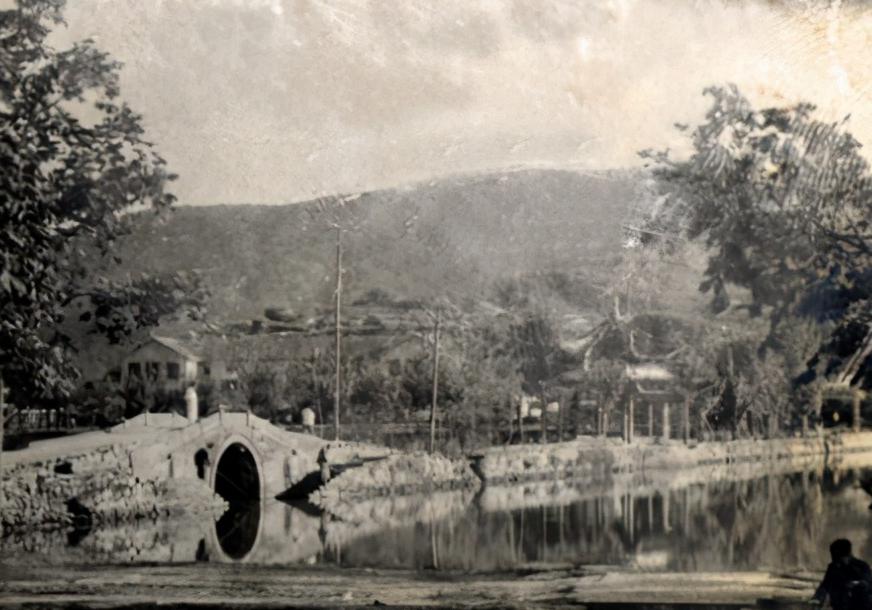 陈布雷陈琏的结局,陈布雷身边特工