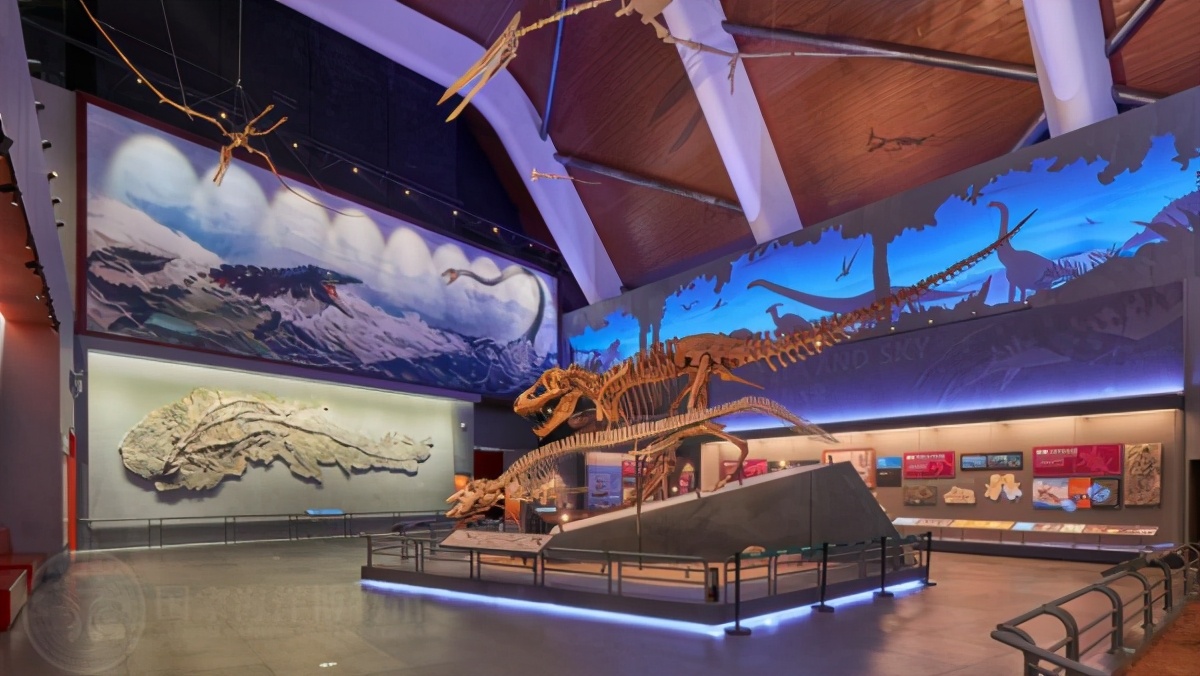 国家海洋博物馆游玩需要多久,天津生态城国家海洋博物馆