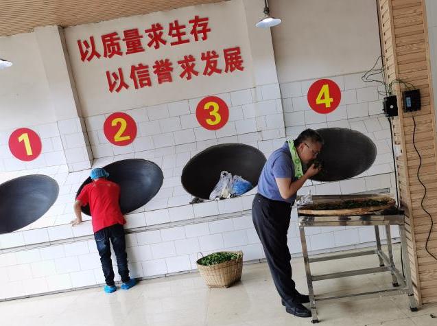 浜戝崡涓尪鑼朵笟鏈夐檺鍏徃鏂伴椈,浜戝崡涓尪鑼朵笟鏈夐檺鍏徃鐢熶骇鍩哄湴