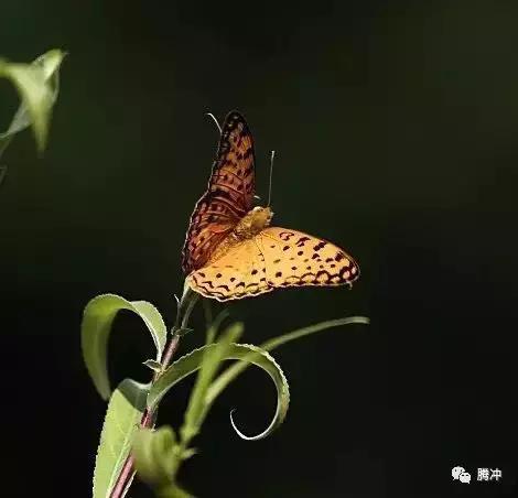 云南腾冲景区图片,云南腾冲山清水秀好风光