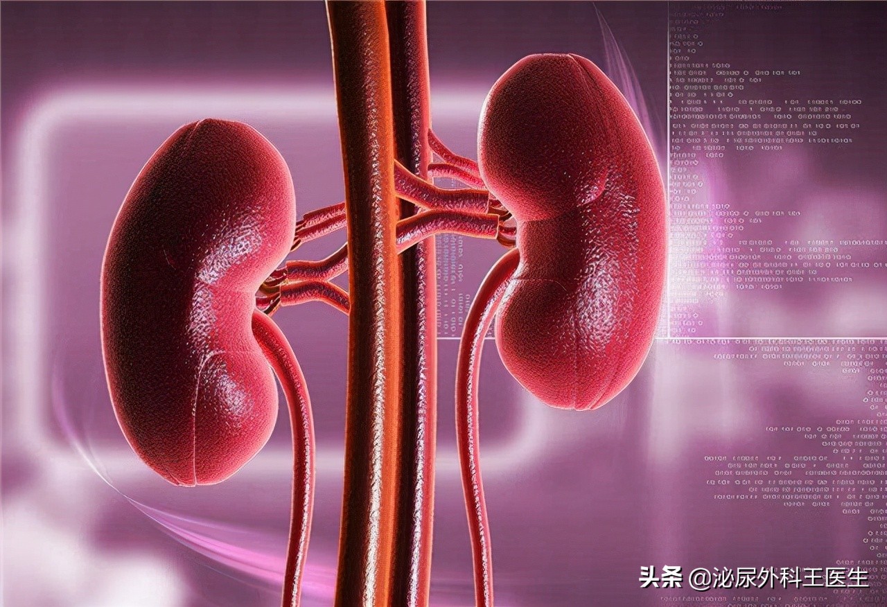 男性多吃什么补肾补精,男性吃什么补肾最好