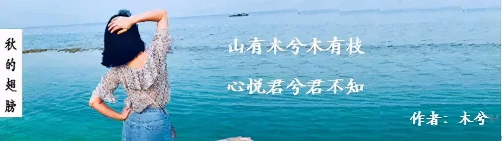 贵妇失踪案真相揭秘,贵妇死亡真相揭秘