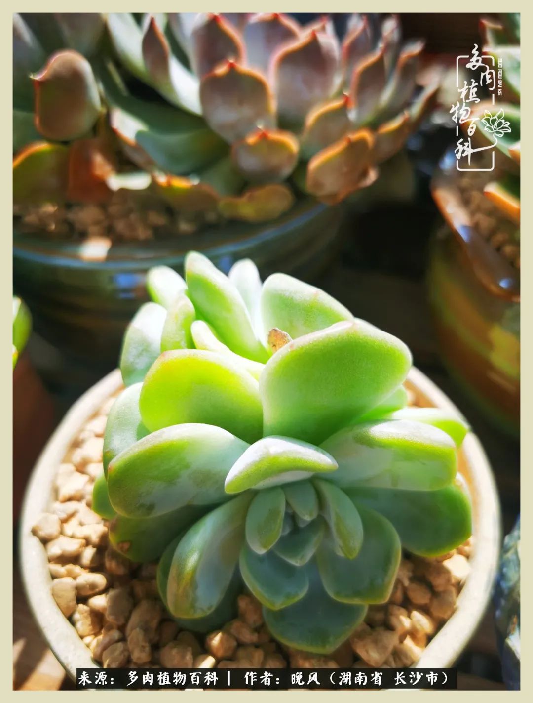 摇身一变成了奶爸,摇身一变成为打工人