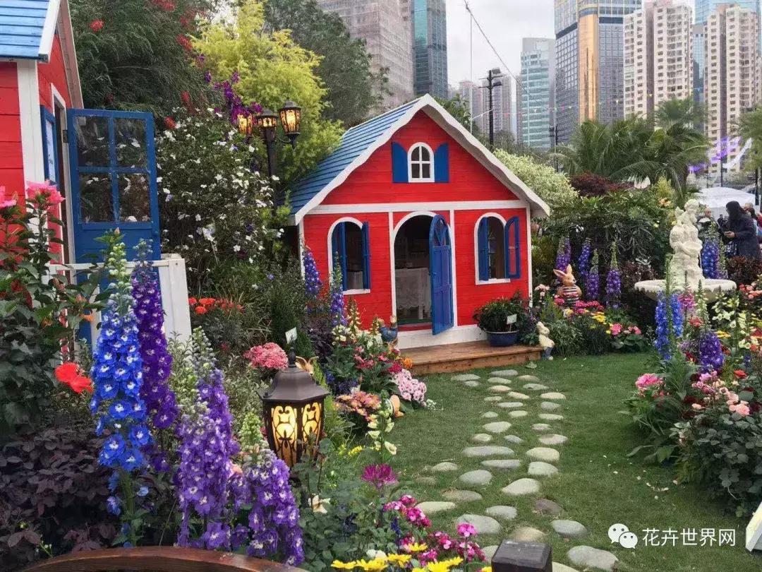 香港花卉艺术展,共赴盛会活动