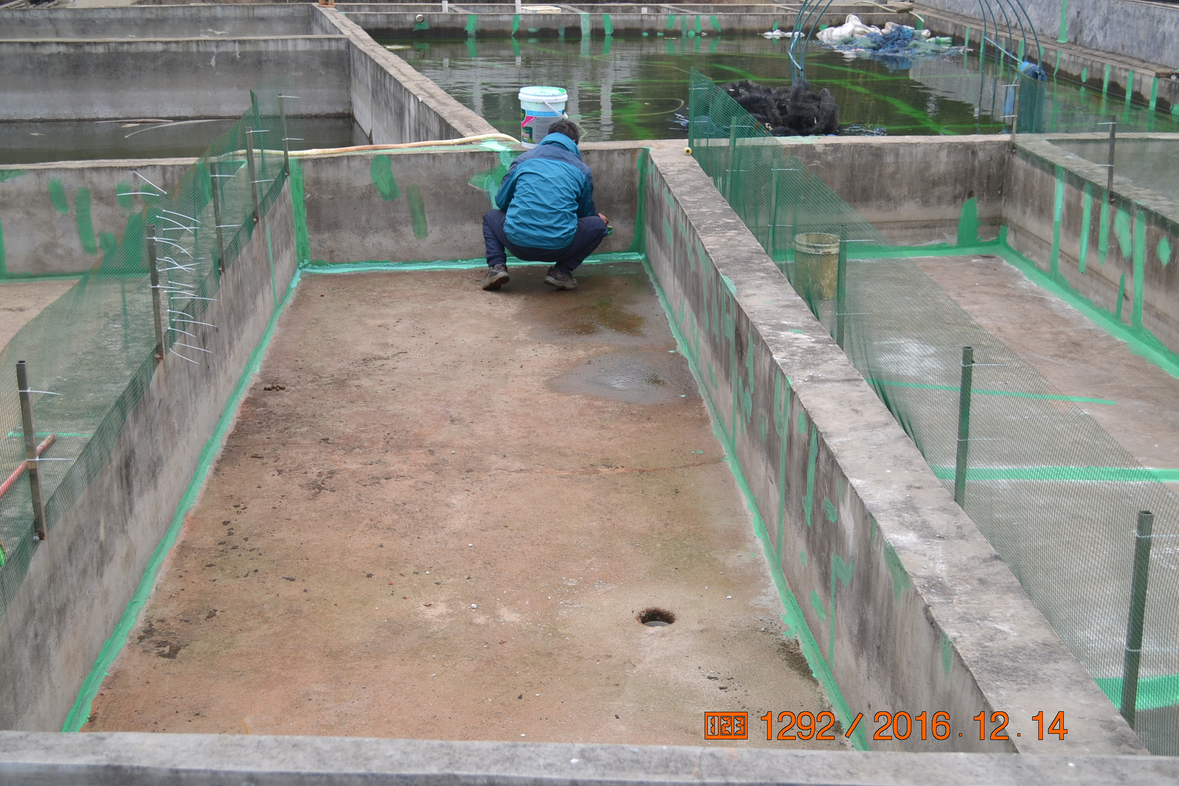 湖南最好的锦鲤养殖基地,湘潭锦鲤养殖