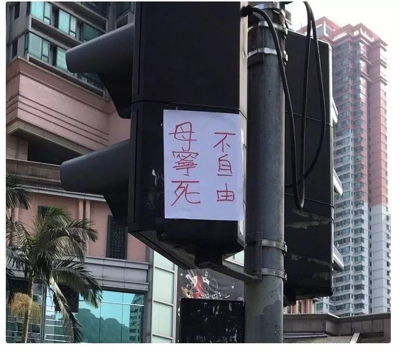 乱港暴徒六大“智熄”瞬间!确认过眼神,是不读书的人……