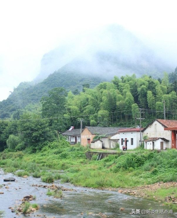 去除夏日蚊子的生活妙招,花园去除蚊子的小妙招