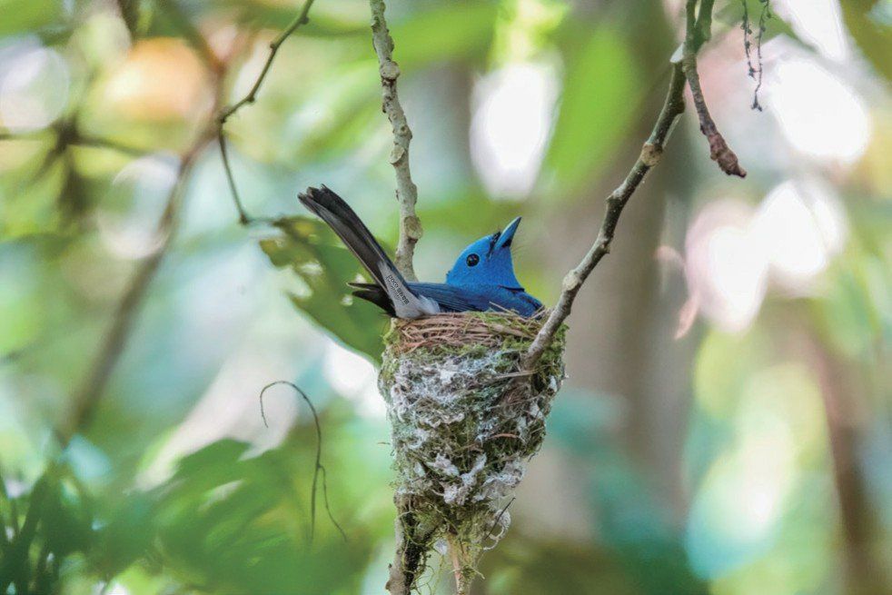 结合摄影知识谈如何拍好一张照片,如何拍出一张优美的照片摄影思路