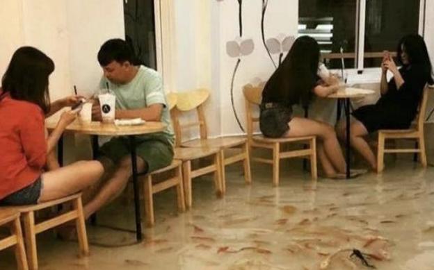 边吃饭边鱼疗,边吃饭边鱼疗完整版