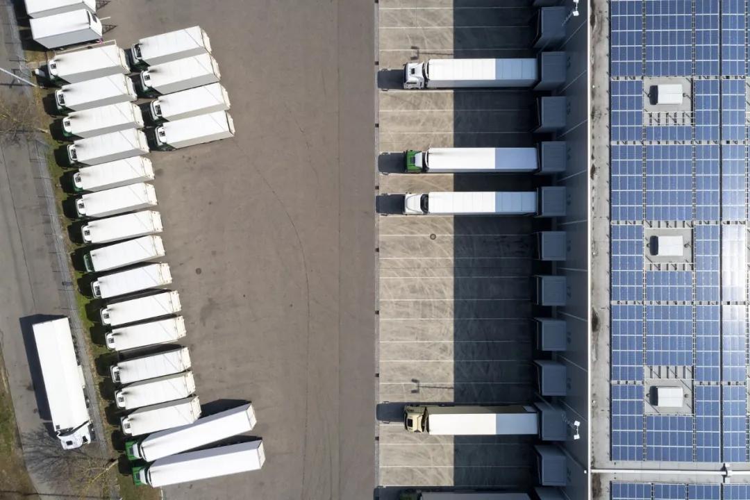 拼多多的创业日记,拼多多种植业