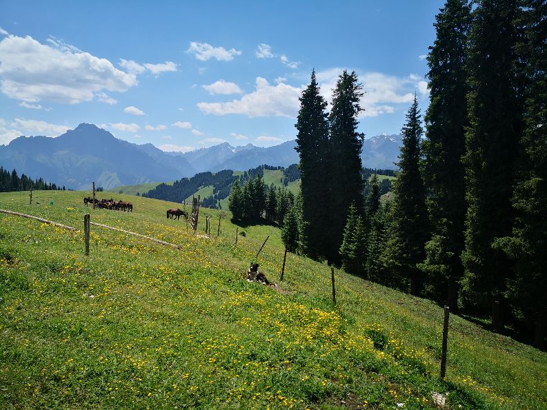 江布拉提照片,江布拉提农家乐