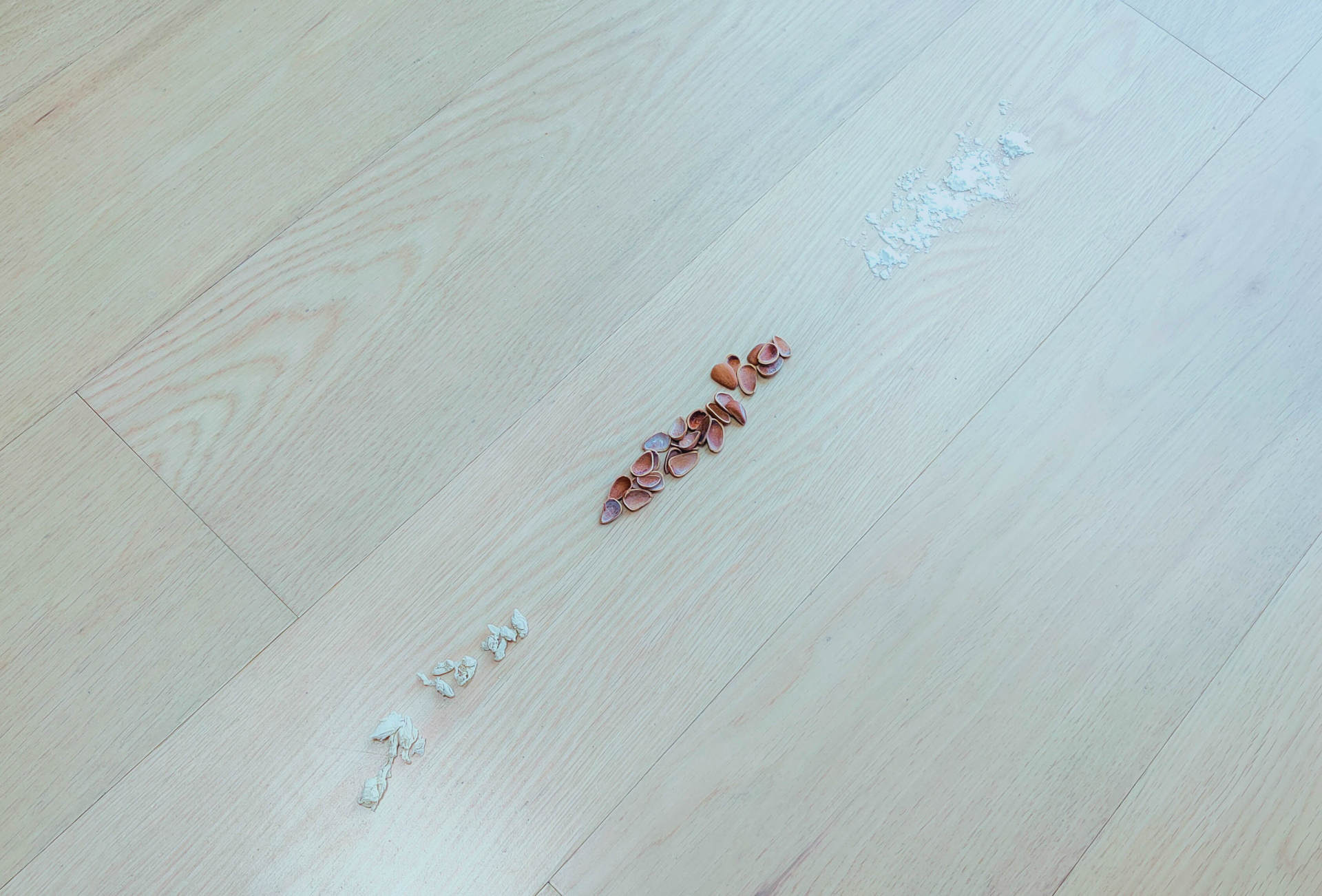 连垃圾都懒得倒，由利扫地机器人评测：垃圾自动收集，一月一次