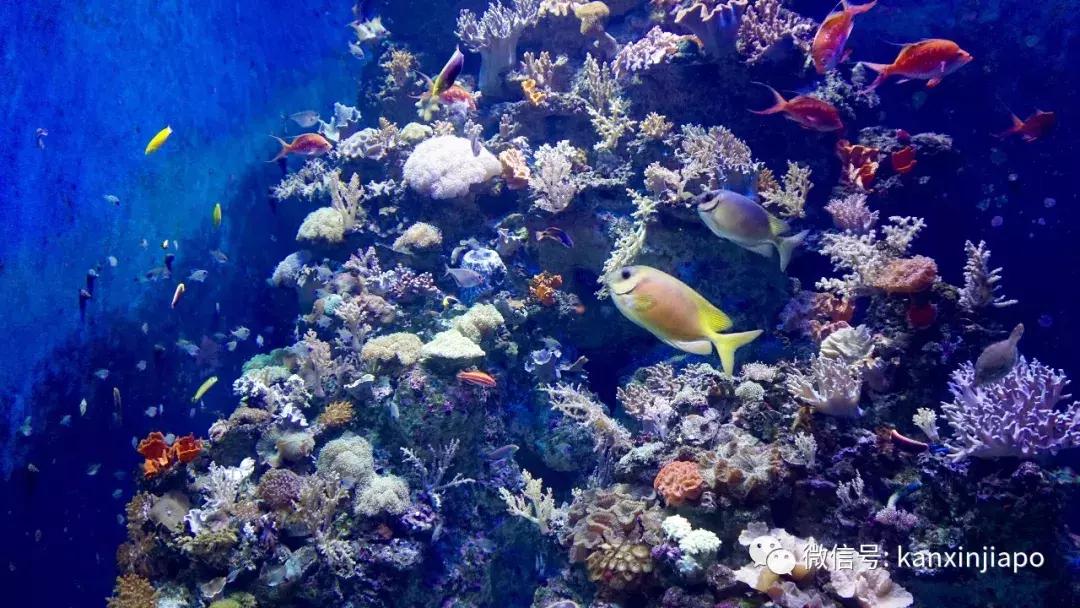 圣淘沙名胜世界完整版,圣淘沙旅游攻略地图大全