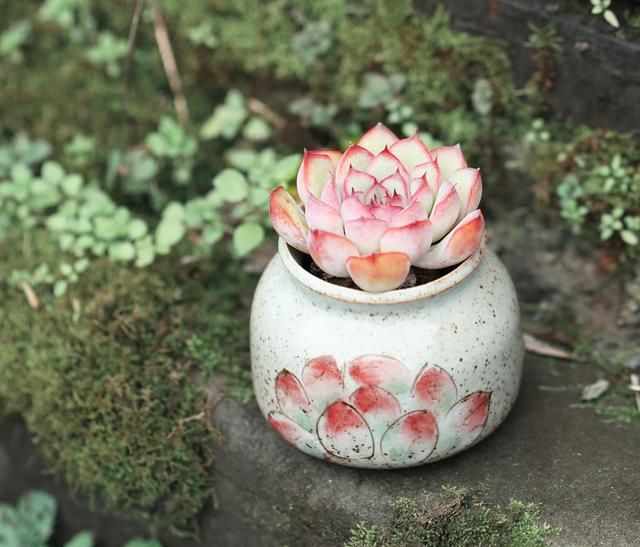 六月情感语录短句,五月的心灵鸡汤句子