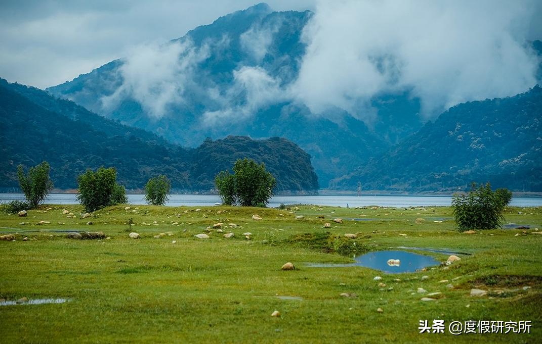 森林和山水,森林公园和森林湖畔