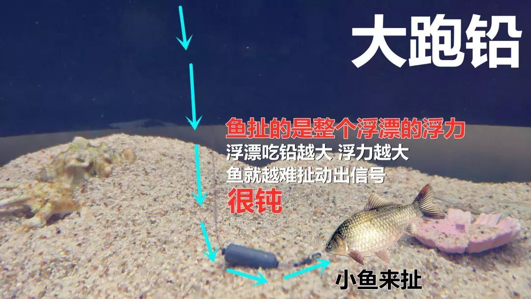 野钓调漂基础知识大全,野钓调漂最佳方法解读