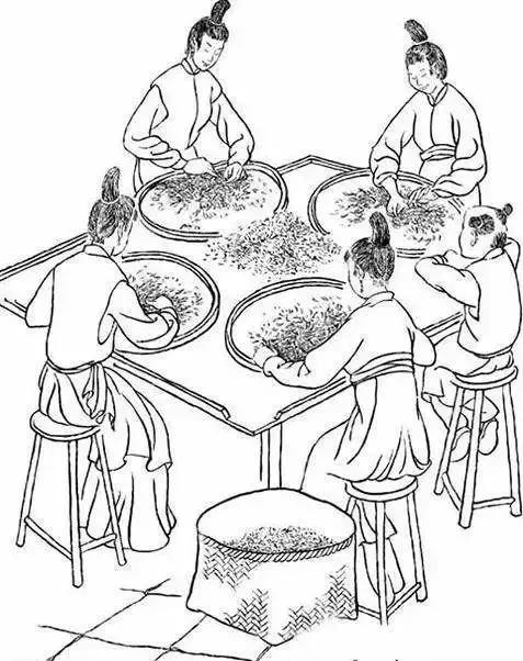 这份泡茶笔记值得收藏,武夷岩茶基本知识有哪些