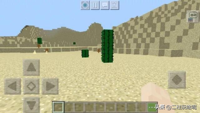 盘点一些我的世界植物排行榜,我的世界上有什么奇特的植物