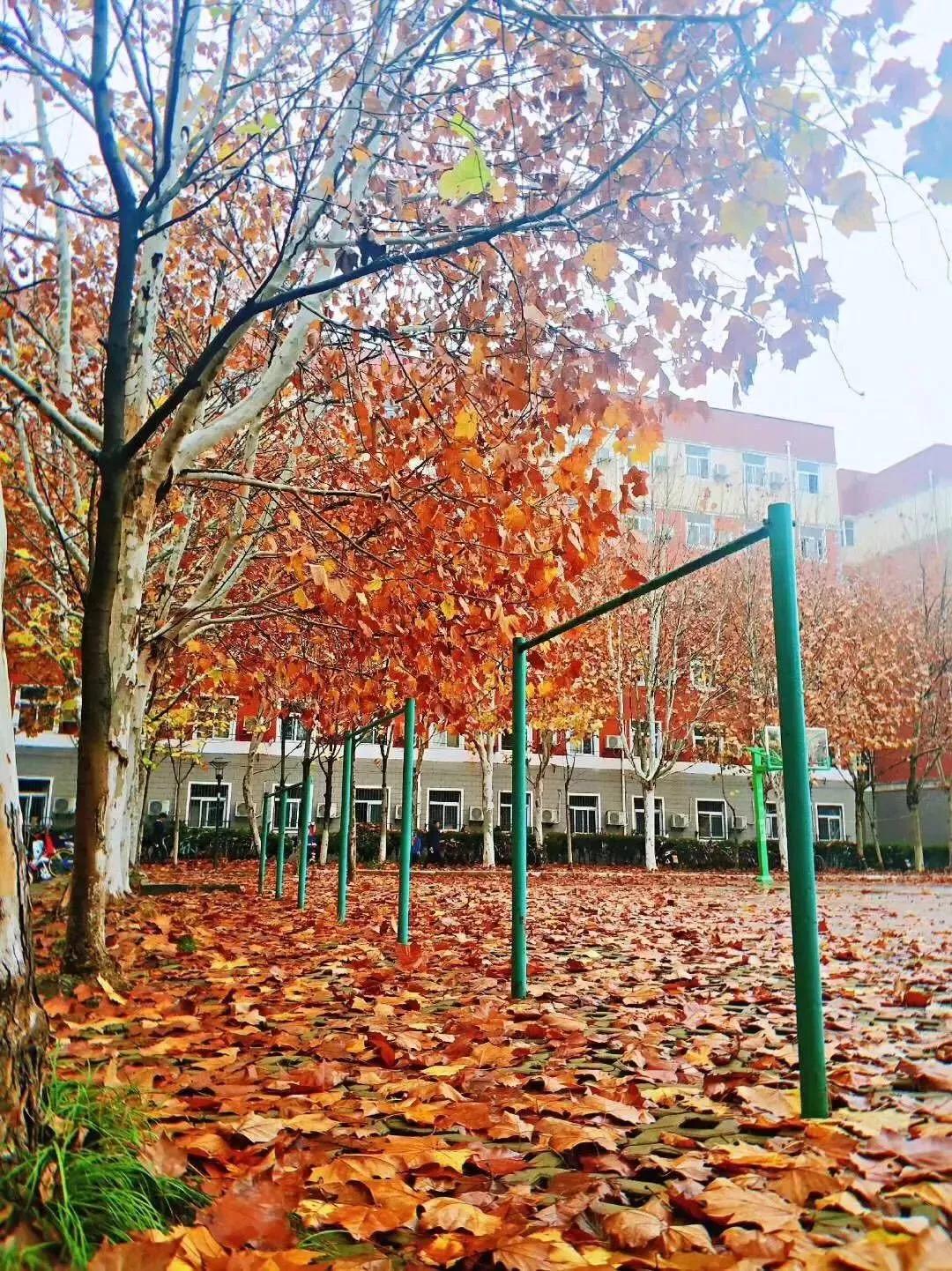 安徽13所一本大学名单,安徽省高校简介