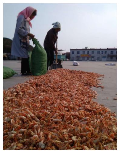 晒虾米，一场成就极鲜之味的狂欢