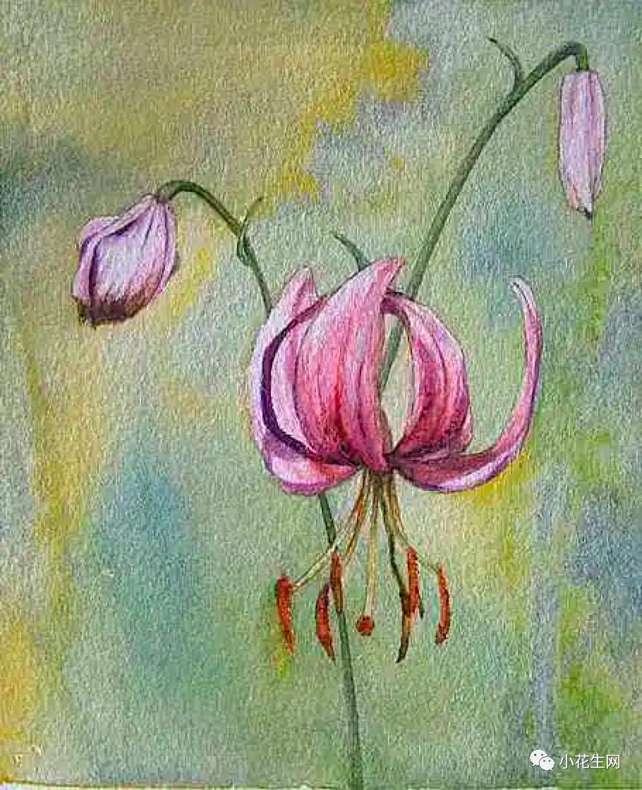 从零开始学绘画简单入门教程,从零开始学绘画必备的画