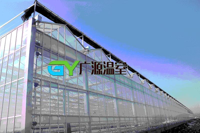 蔬菜玻璃温室大棚的造价,玻璃温室大棚建设厂家橘子测试