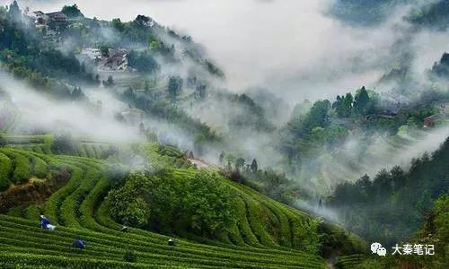 茶旅之路,茶旅最佳治愈方案